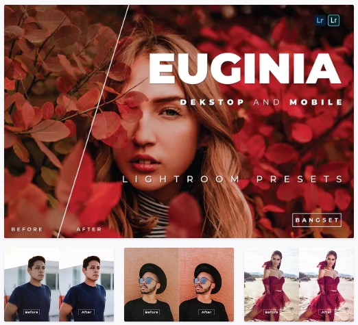 [Elements.Envato] Euginia Desktop and Mobile Light_0.jpg
